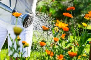 Gartenarbeiten, Gartenpflege - Nagels Housekeeping, Kelkheim
