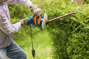 Gartenarbeiten, Gartenpflege - Nagels Housekeeping, Kelkheim